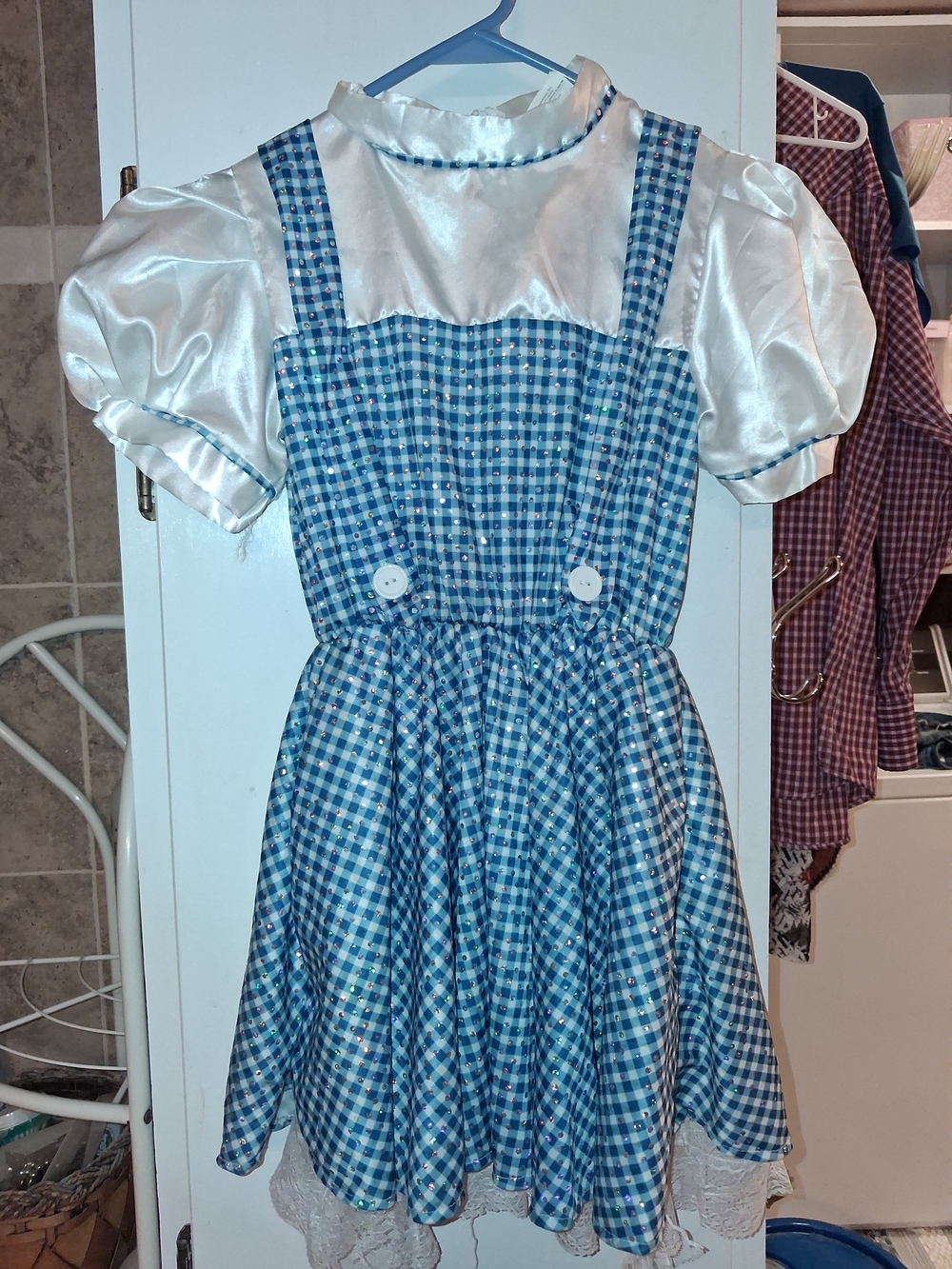Dorothy @Wizard Of OZ Costume Dress. Med / Girls 12